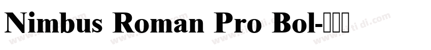 Nimbus Roman Pro Bol字体转换 Nimbus Roman Pro Bol字体转换